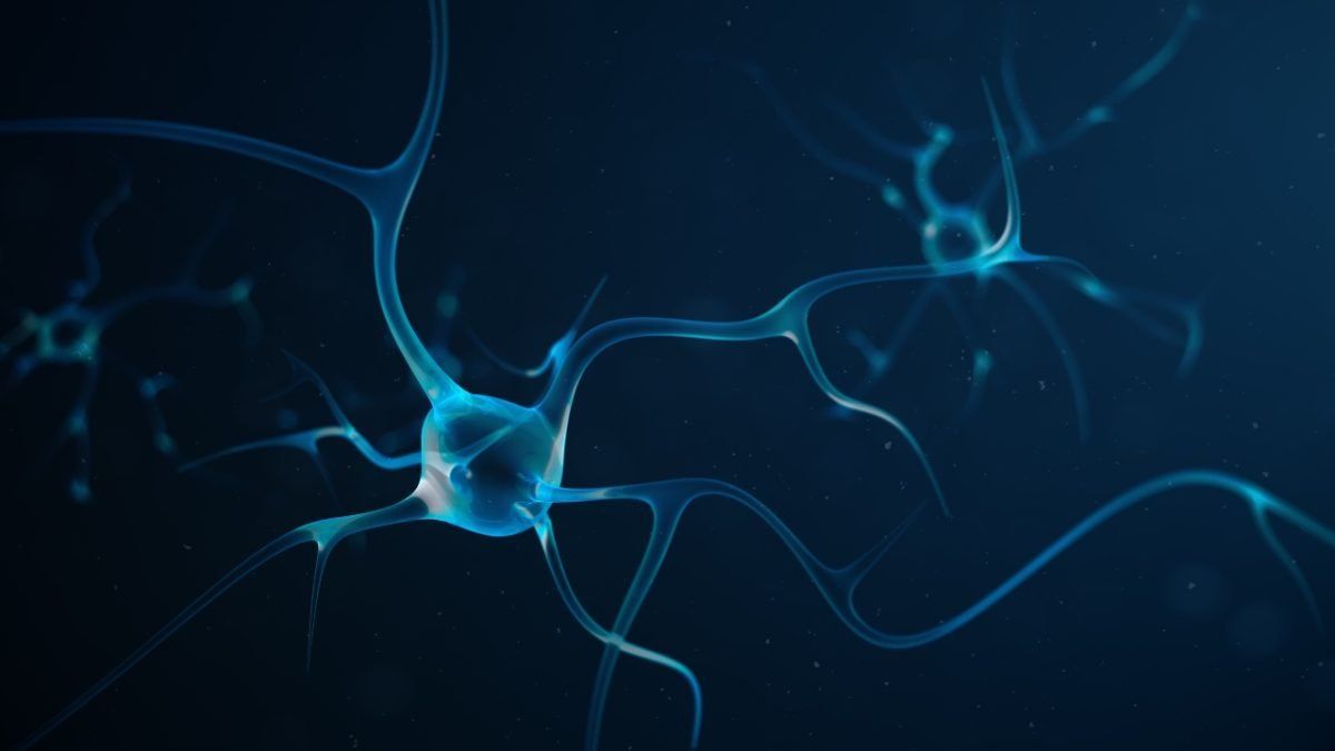 Cell Signaling Explained