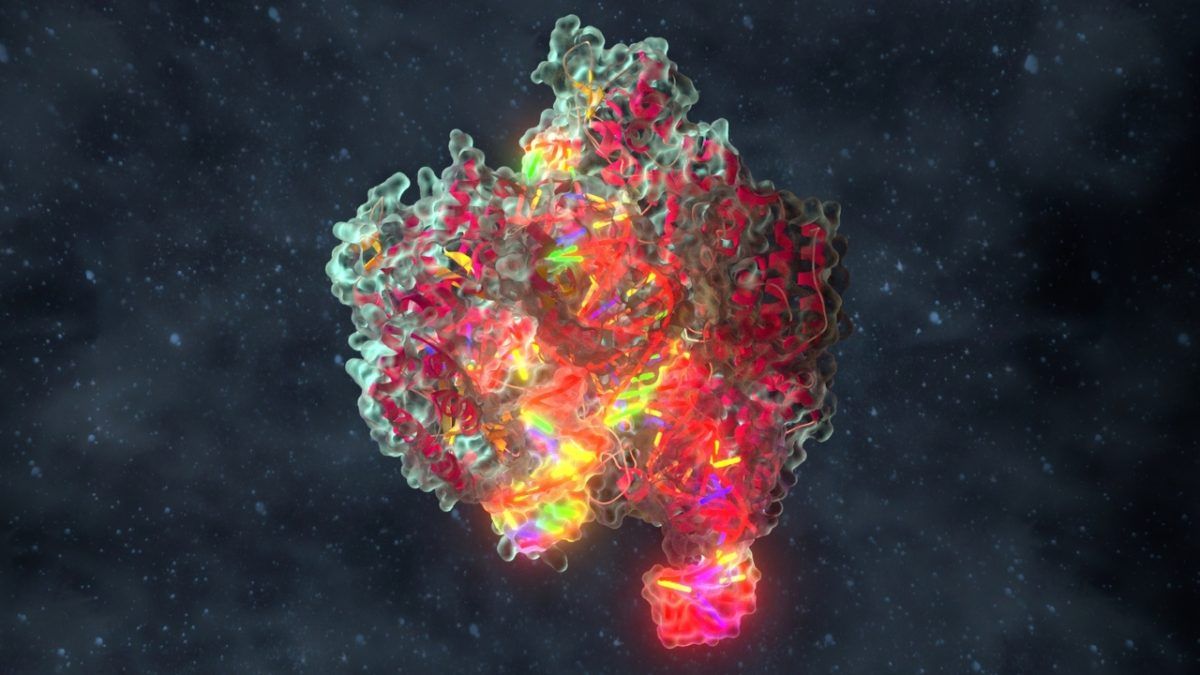 Crispr – The Cutting Edge of Medicine