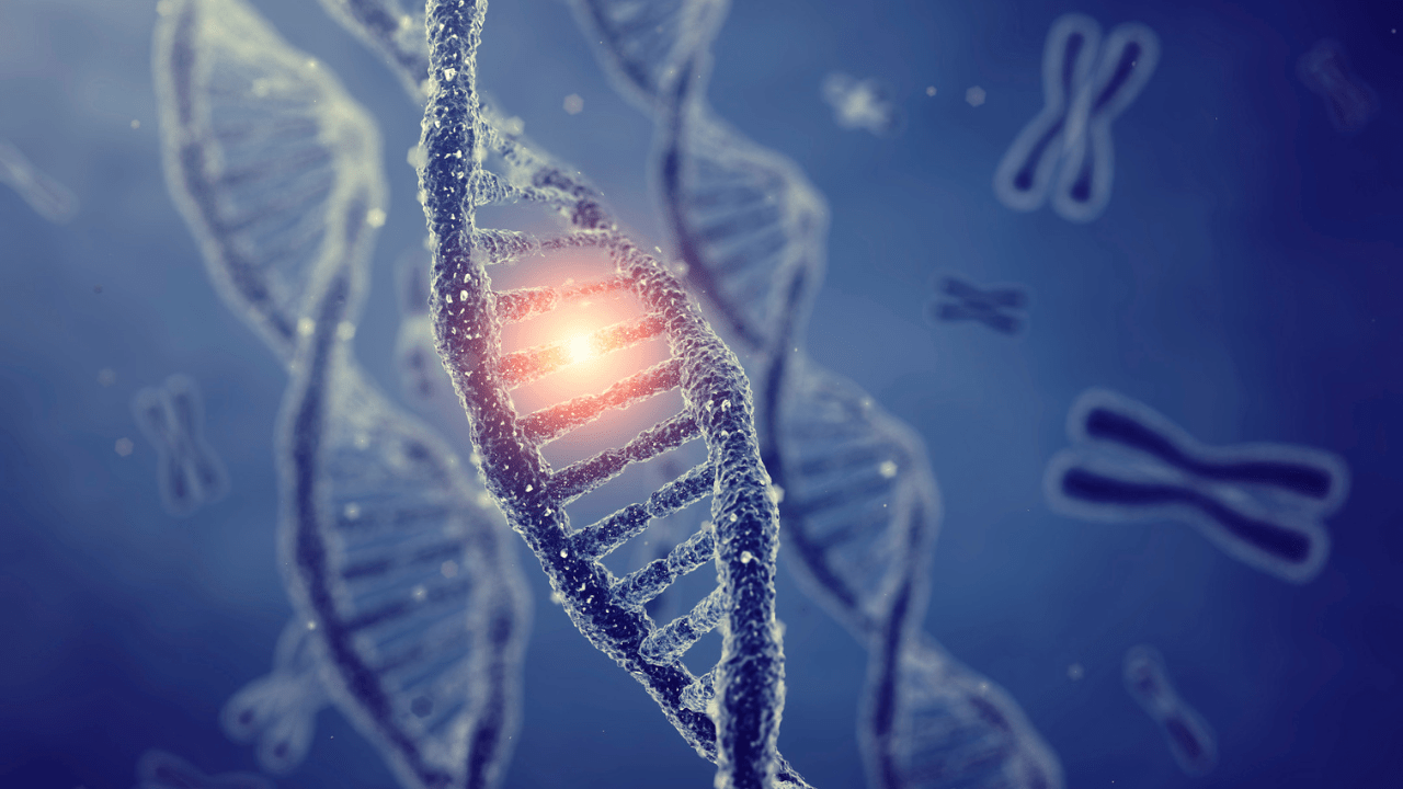 Epigenetics Rewriting the Future of Aging