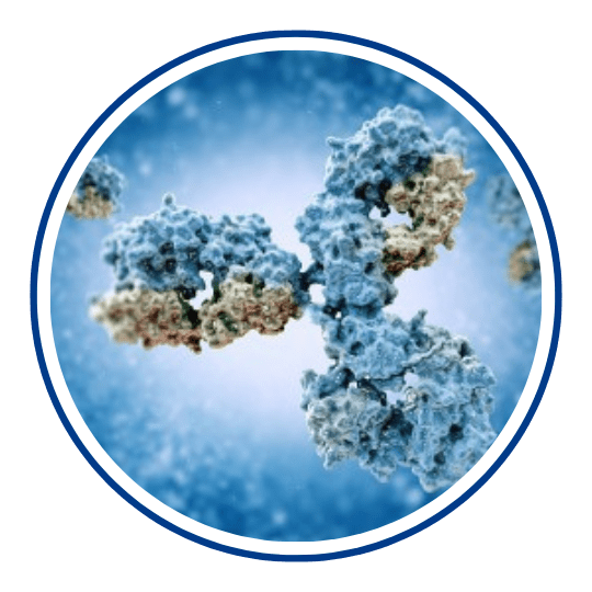 Icon Antibody Primer