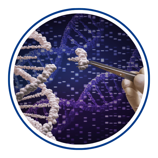Icon Genetic Engineering Primer