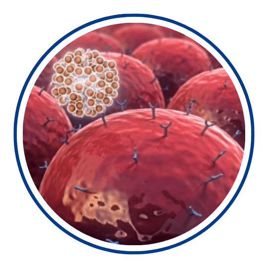 Icon Immunology Primer 101