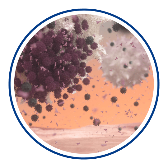 Icon Immunology Primer 201