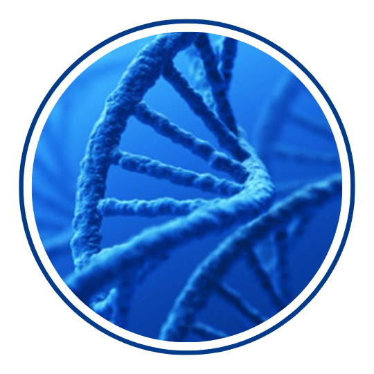Icon The Biology of Biotech